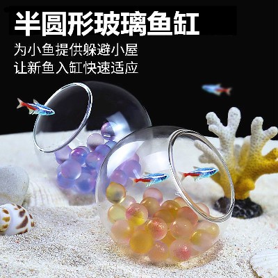 Glass fish tank hydroponic circular simple transparent mini goldfish tank living room household small desktop decoration can be customized