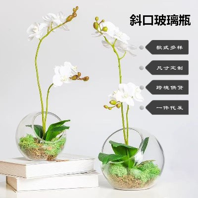Half round glass bottle hydroponic plant table moss micro landscape ecological bottle succulent plant creative gift decoration customization