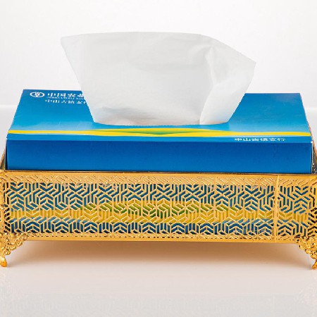 Hollow tissue box