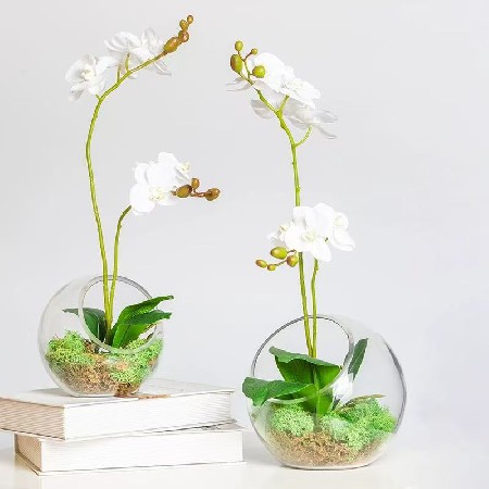 Slant mouth glass bottle, transparent circular micro landscape ecological bottle, succulent vase, hydroponic flower vase, home decoration customization