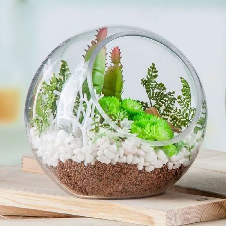 Transparent glass bottle Christmas decoration micro landscape ecological bottle succulent vase hydroponic flower container home decoration customization