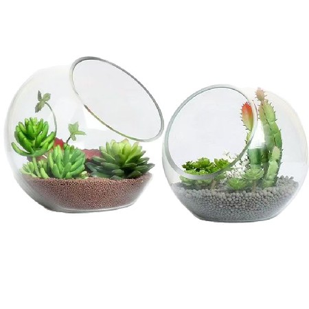 半圆形玻璃瓶水培植物台藓微景观生态瓶多肉植物创意礼品摆件定制