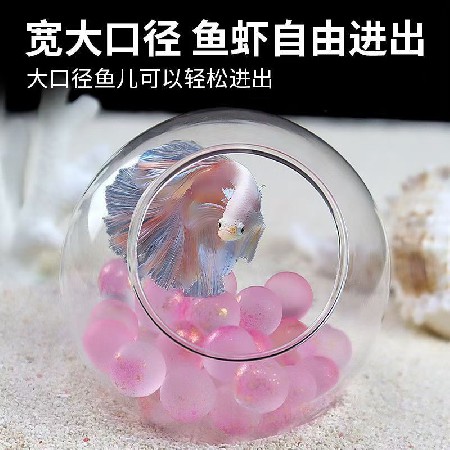 Transparent glass fish tank, simple hydroponic, circular living room, goldfish tank, mini household, small desktop decoration that can be customized
