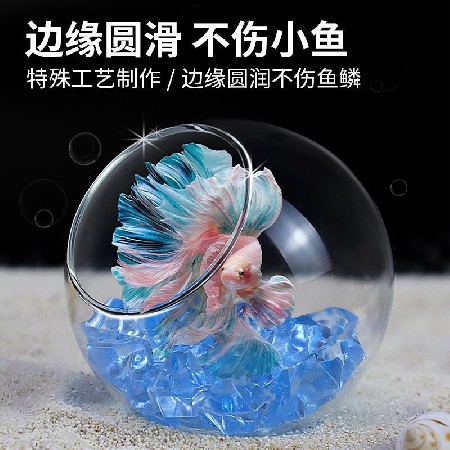 Transparent glass bottle, simple hydroponic fish tank, circular living room, goldfish tank, mini household, small desktop decoration customization