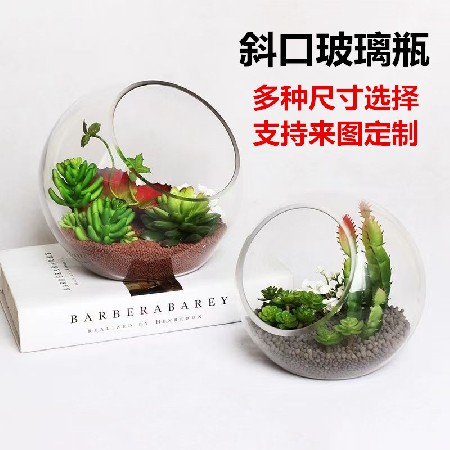 Christmas Decoration Glass Bottle Transparent Micro Landscape Ecological Bottle Succulent Vase Hydroponic Flower Utensils Home Decor Customization