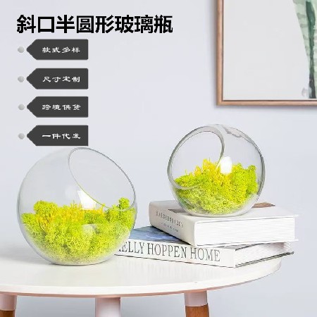 Hydroponic plant glass bottle semi-circular table moss micro landscape ecological bottle succulent plant creative gift decoration customization
