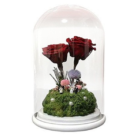 圆头玻璃罩饰品玻璃展示罩多种尺寸模型带木底座定制欧式摆件