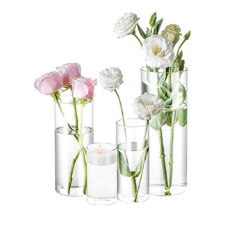 Cylindrical glass vase, fresh flowers, hydroponic plants, succulent landscape, ecological vase, home decoration decoration, vase customization